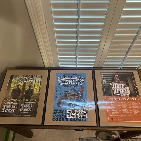 Signed Music Tour Posters - Picture 4 of 8